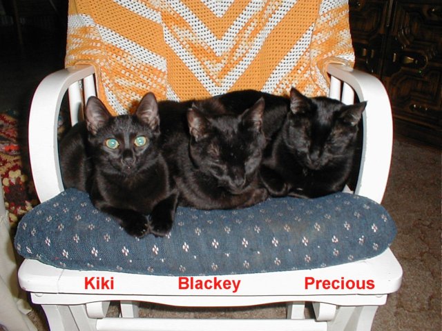 ourbabbies.jpg